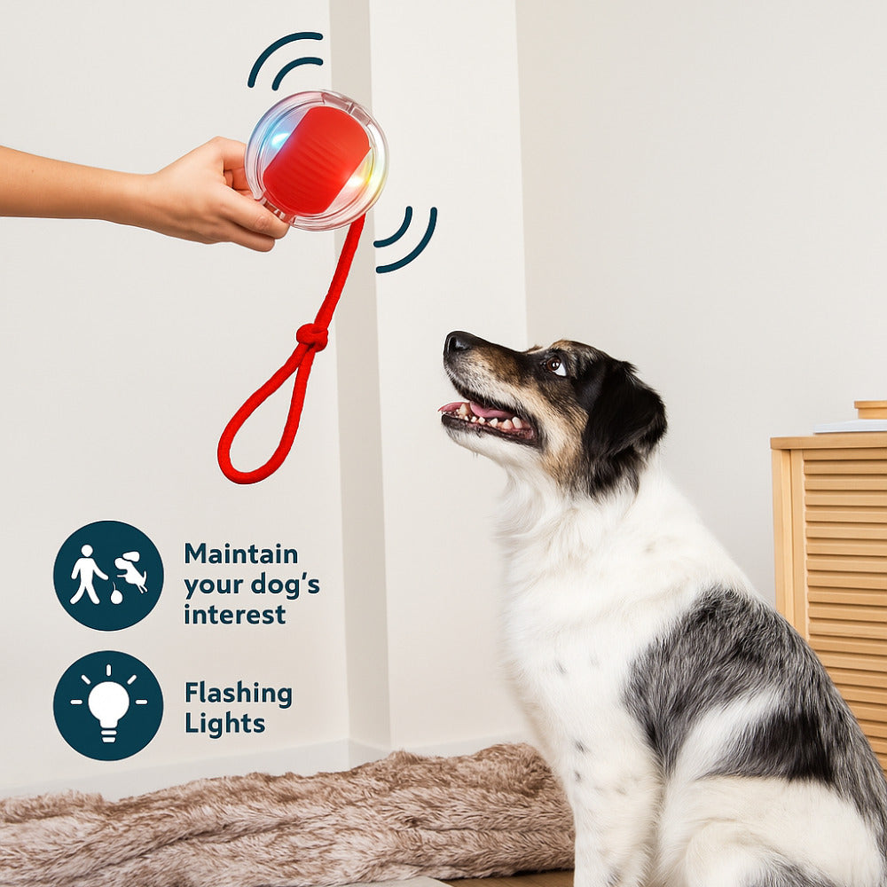 PawPath™ Smart Interactive Dog Toy