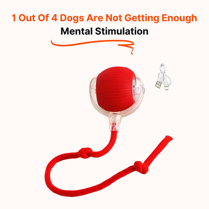 PawPath™ Smart Interactive Dog Toy