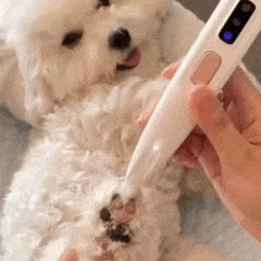 CleanPaws™ Electric Fur Trimmer (Rechargeable)